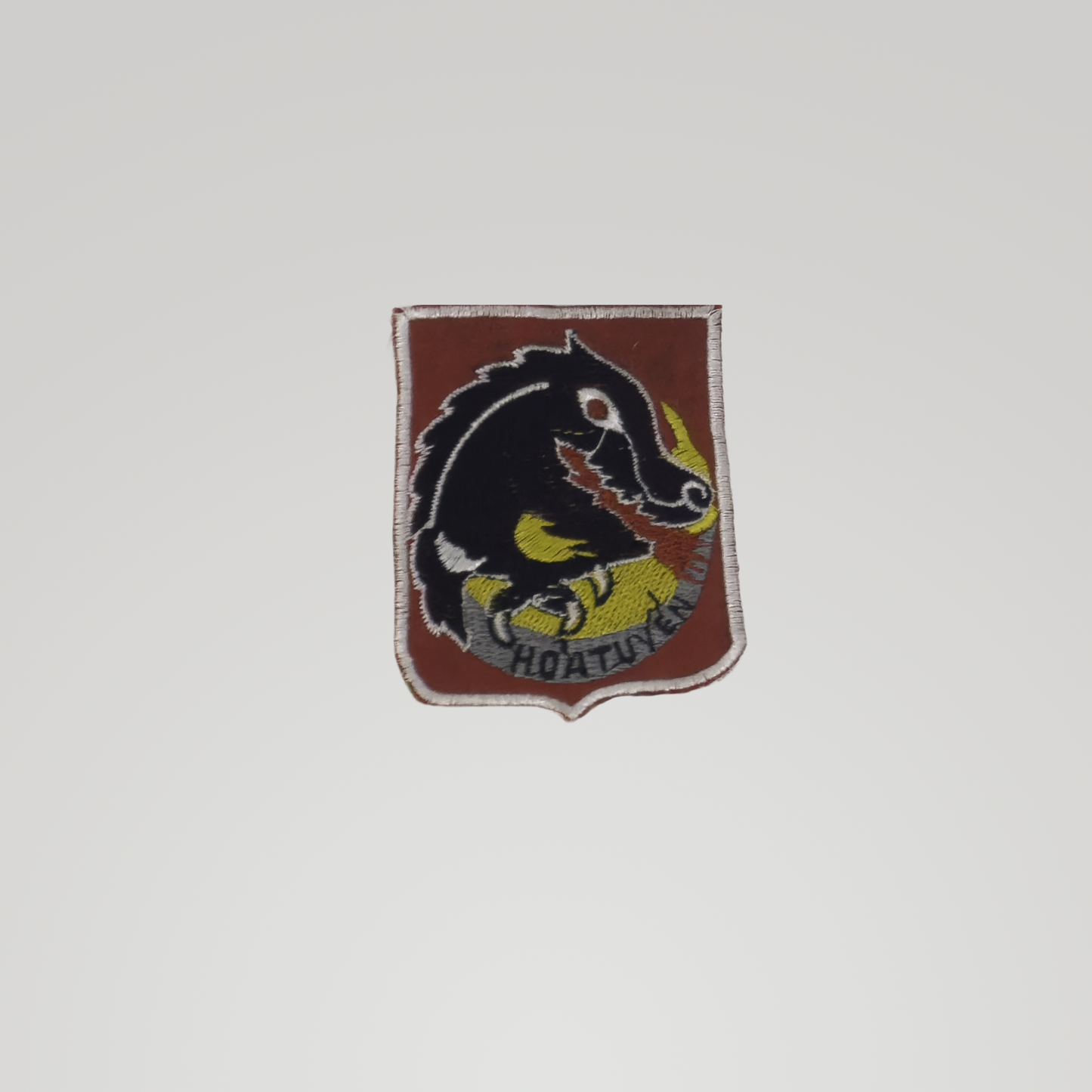 Vietnam Theater-Made Patch — 'Dragon Hoatuyen'